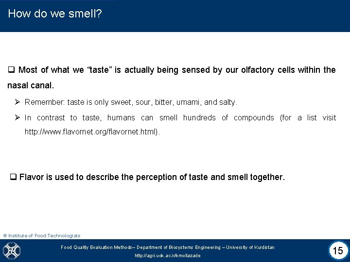 How do we smell? q Most of what we “taste” is actually being sensed