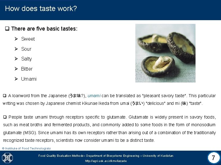 How does taste work? q There are five basic tastes: Ø Sweet Ø Sour