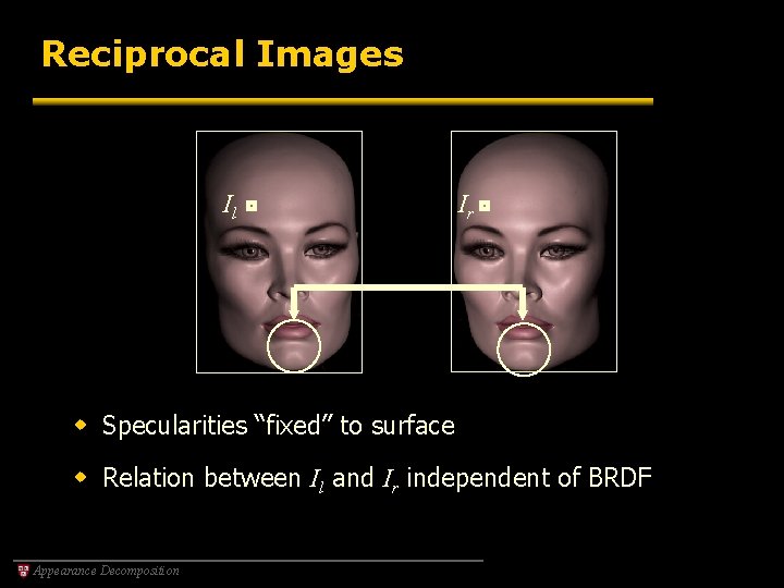 Reciprocal Images Il Ir w Specularities “fixed” to surface w Relation between Il and