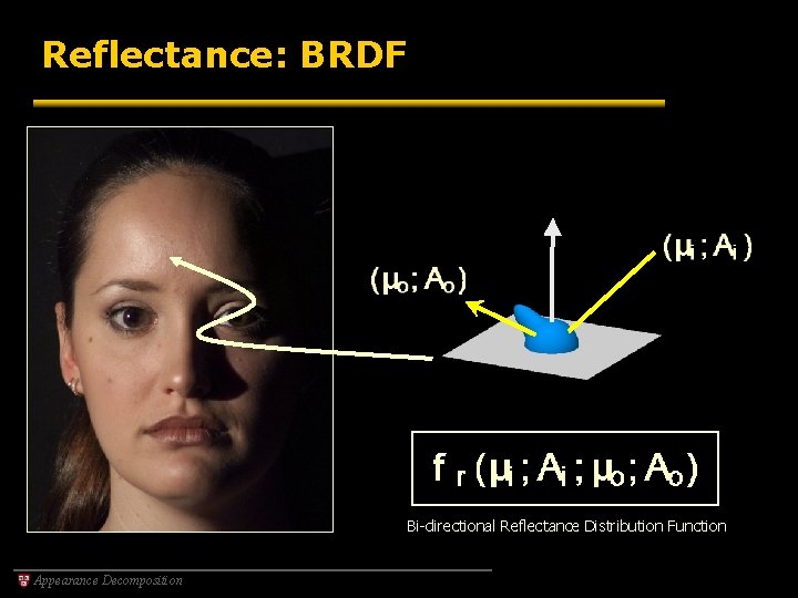 Reflectance: BRDF Bi-directional Reflectance Distribution Function Appearance Decomposition 