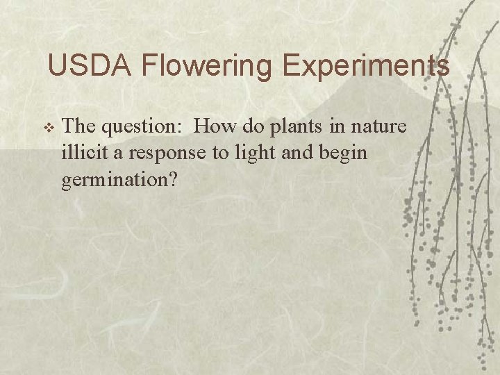 USDA Flowering Experiments v The question: How do plants in nature illicit a response