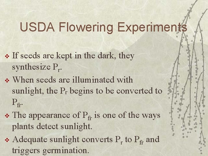 USDA Flowering Experiments If seeds are kept in the dark, they synthesize Pr. v