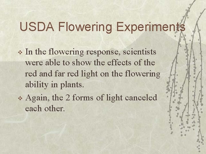 USDA Flowering Experiments In the flowering response, scientists were able to show the effects