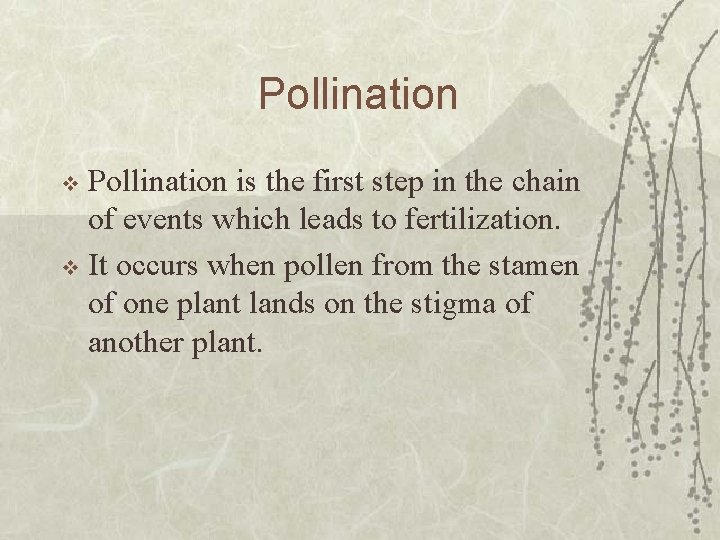 Pollination is the first step in the chain of events which leads to fertilization.