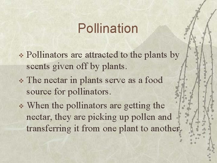 Pollination Pollinators are attracted to the plants by scents given off by plants. v