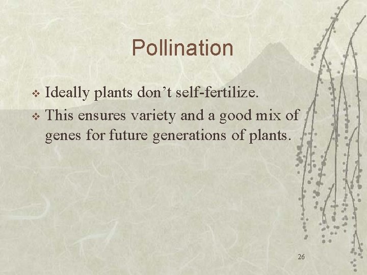 Pollination Ideally plants don’t self-fertilize. v This ensures variety and a good mix of