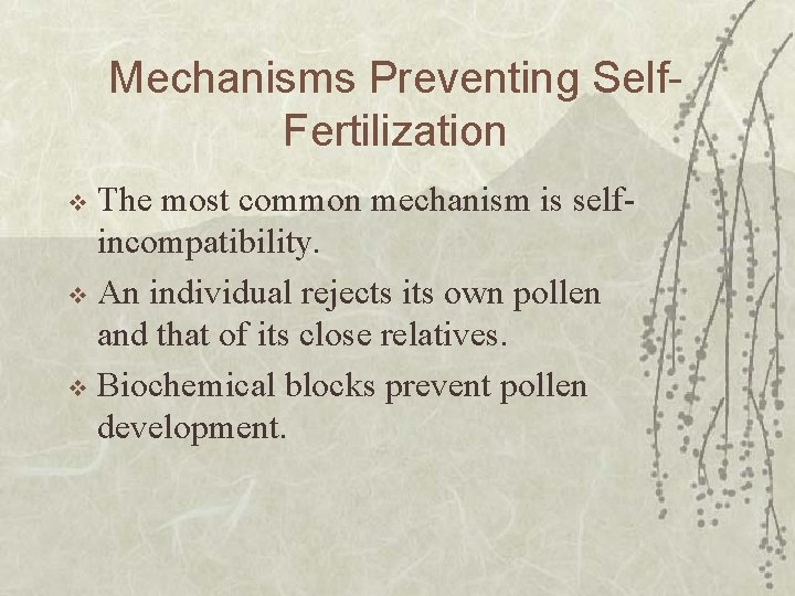 Mechanisms Preventing Self. Fertilization The most common mechanism is selfincompatibility. v An individual rejects