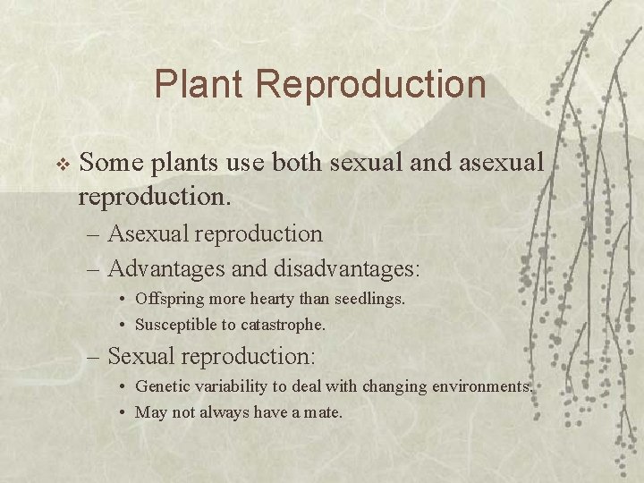 Plant Reproduction v Some plants use both sexual and asexual reproduction. – Asexual reproduction