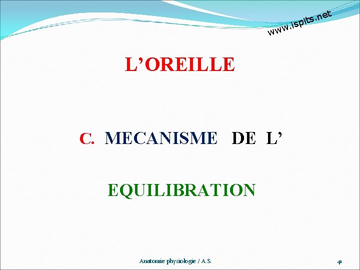 et n. s t pi w. is ww L’OREILLE C. MECANISME DE L’ EQUILIBRATION
