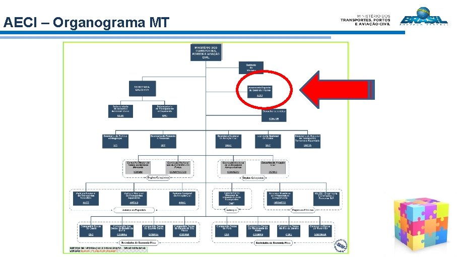 AECI – Organograma MT 