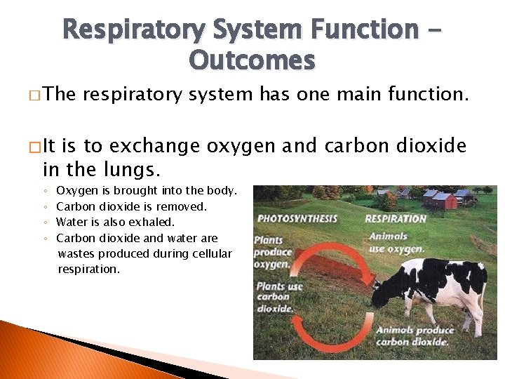 Respiratory System Function Outcomes � The respiratory system has one main function. � It