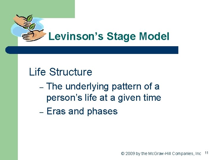 Levinson’s Stage Model Life Structure The underlying pattern of a person’s life at a