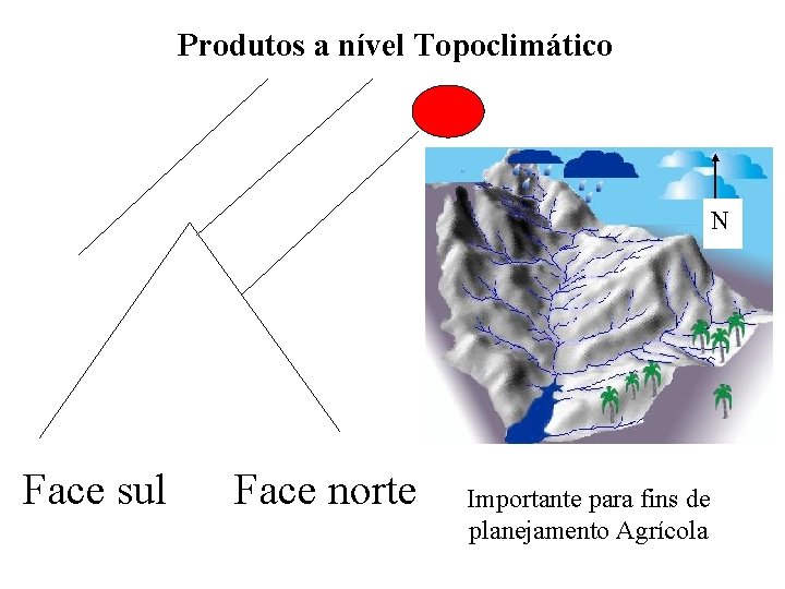 Produtos a nível Topoclimático N Face sul Face norte Importante para fins de planejamento Produtos a nível Topoclimático N Face sul Face norte Importante para fins de planejamento