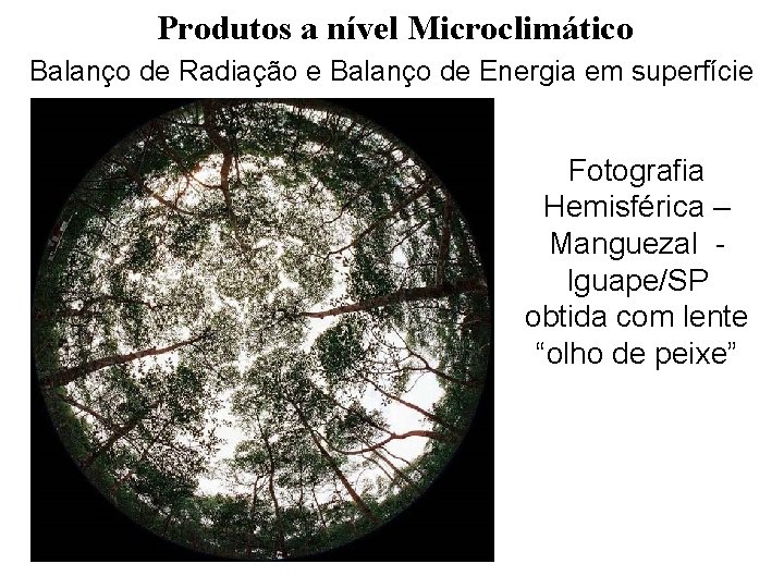 Produtos a nível Microclimático Balanço de Radiação e Balanço de Energia em superfície Fotografia Produtos a nível Microclimático Balanço de Radiação e Balanço de Energia em superfície Fotografia