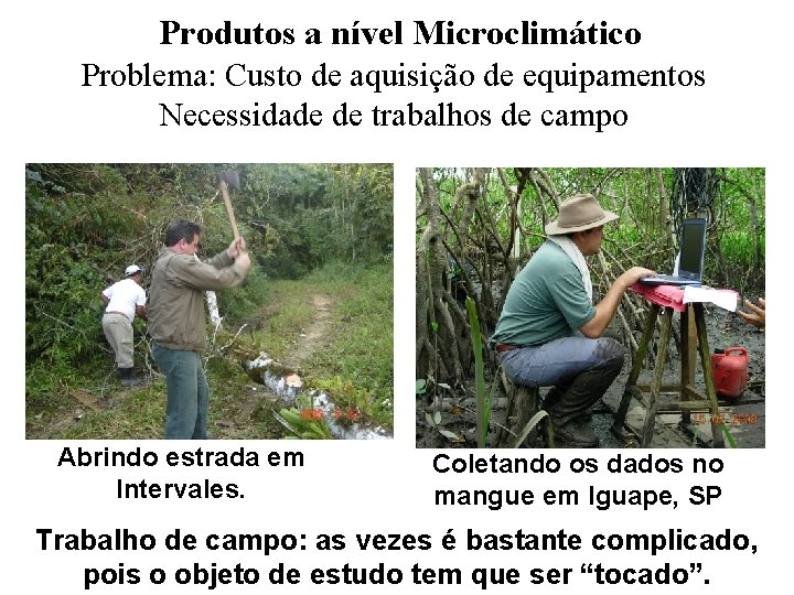 Produtos a nível Microclimático Problema: Custo de aquisição de equipamentos Necessidade de trabalhos de Produtos a nível Microclimático Problema: Custo de aquisição de equipamentos Necessidade de trabalhos de
