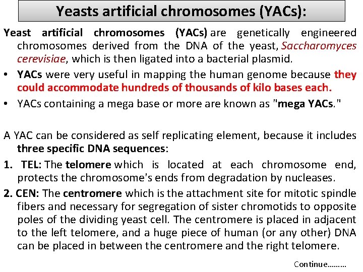 Yeasts artificial chromosomes (YACs): Yeast artificial chromosomes (YACs) are genetically engineered chromosomes derived from