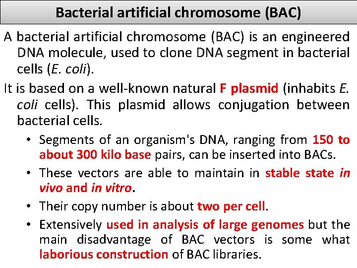 Bacterial artificial chromosome (BAC) A bacterial artificial chromosome (BAC) is an engineered DNA molecule,