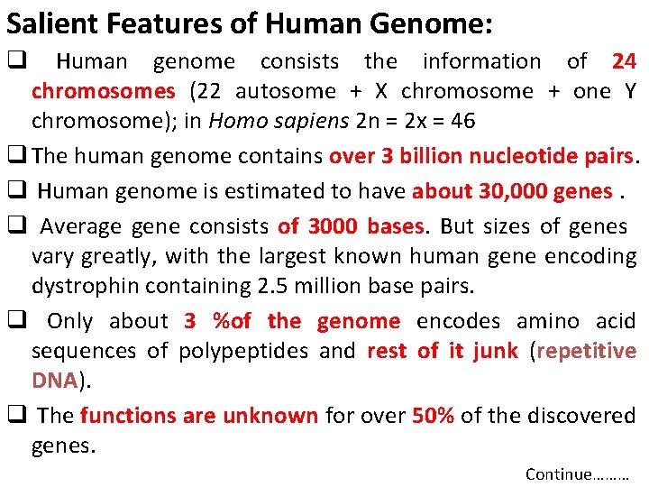Salient Features of Human Genome: q Human genome consists the information of 24 chromosomes