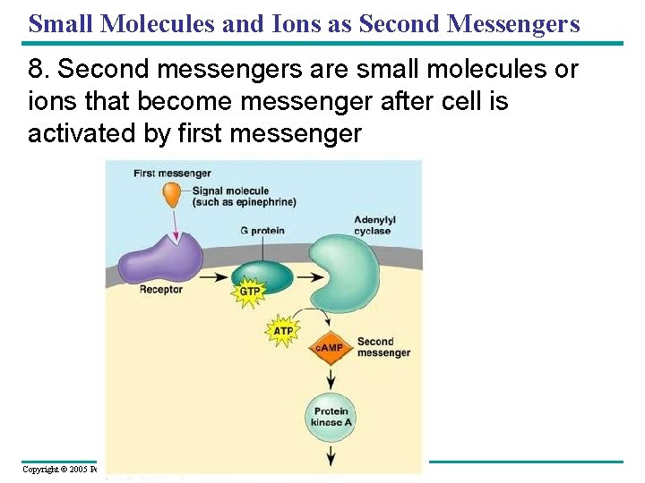 Small Molecules and Ions as Second Messengers 8. Second messengers are small molecules or