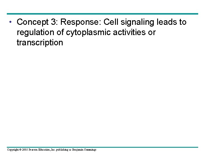  • Concept 3: Response: Cell signaling leads to regulation of cytoplasmic activities or
