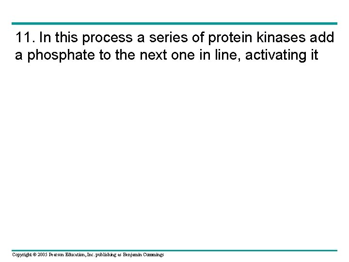 11. In this process a series of protein kinases add a phosphate to the