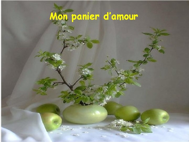 Mon panier d’amour 