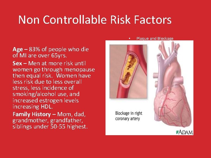 Non Controllable Risk Factors • Age – 83% of people who die of MI