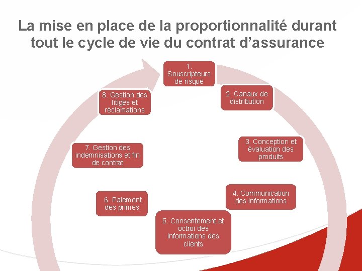La mise en place de la proportionnalité durant tout le cycle de vie du