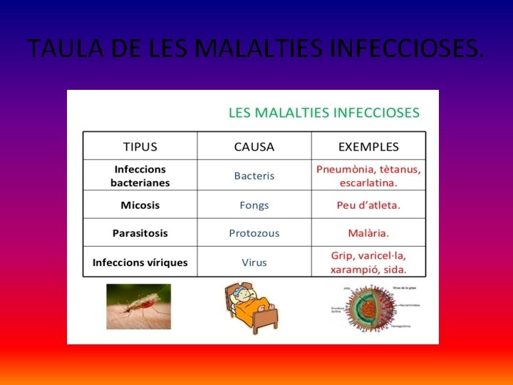 TAULA DE LES MALALTIES INFECCIOSES. 