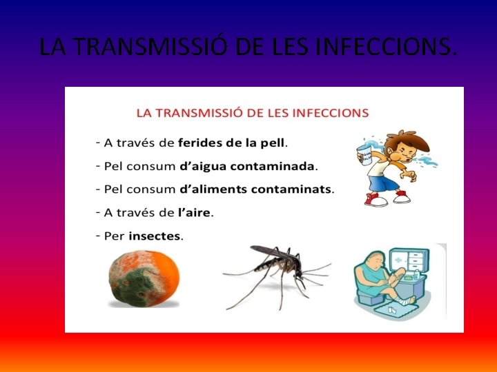 LA TRANSMISSIÓ DE LES INFECCIONS. 