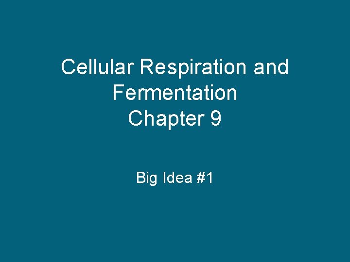 Cellular Respiration and Fermentation Chapter 9 Big Idea #1 