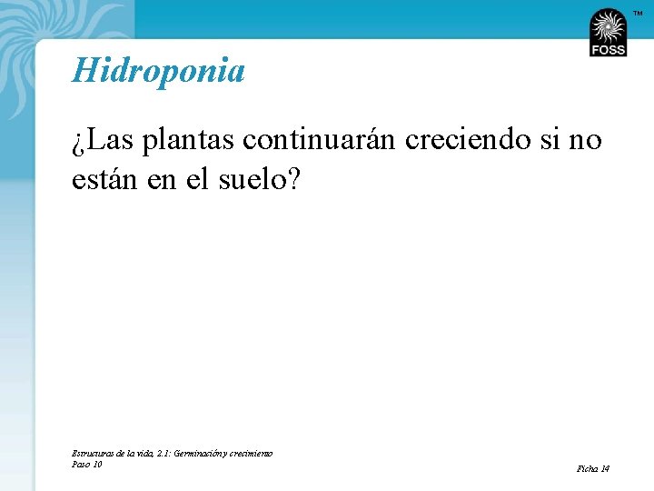 TM Hidroponia ¿Las plantas continuarán creciendo si no están en el suelo? Estructuras de