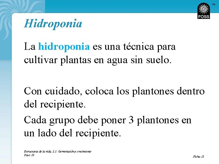 TM Hidroponia La hidroponia es una técnica para cultivar plantas en agua sin suelo.