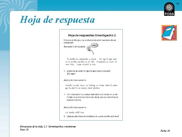 TM Hoja de respuesta Estructuras de la vida, 2. 1: Germinación y crecimiento Paso