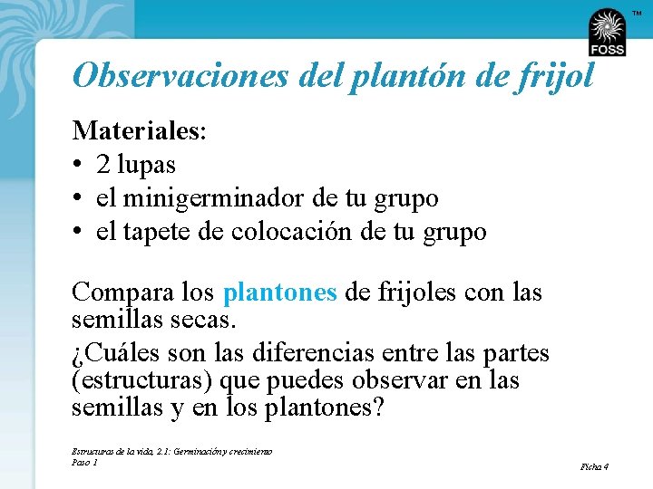 TM Observaciones del plantón de frijol Materiales: • 2 lupas • el minigerminador de