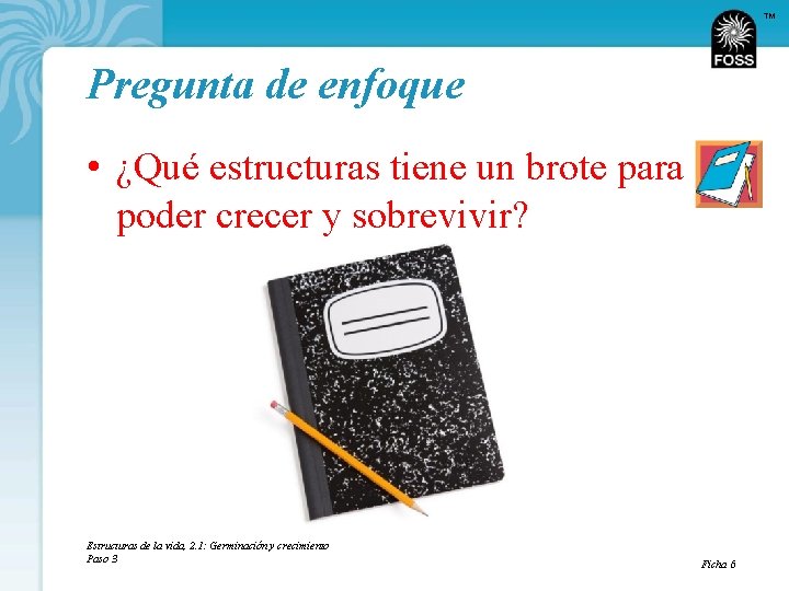 TM Pregunta de enfoque • ¿Qué estructuras tiene un brote para poder crecer y