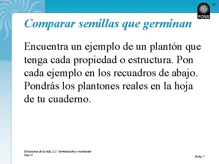 TM Comparar semillas que germinan Encuentra un ejemplo de un plantón que tenga cada