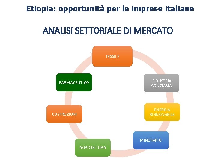 Etiopia: opportunità per le imprese italiane ANALISI SETTORIALE DI MERCATO TESSILE FARMACEUTICO INDUSTRIA CONCIARIA