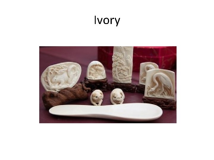 Ivory 
