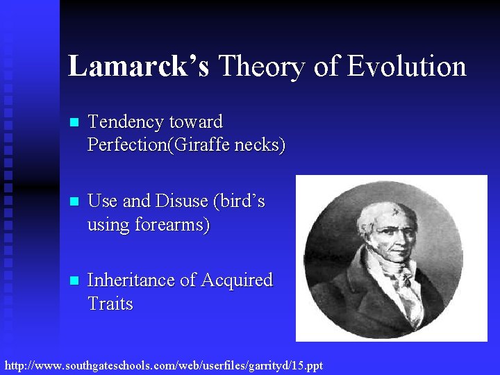 Lamarck’s Theory of Evolution n Tendency toward Perfection(Giraffe necks) n Use and Disuse (bird’s