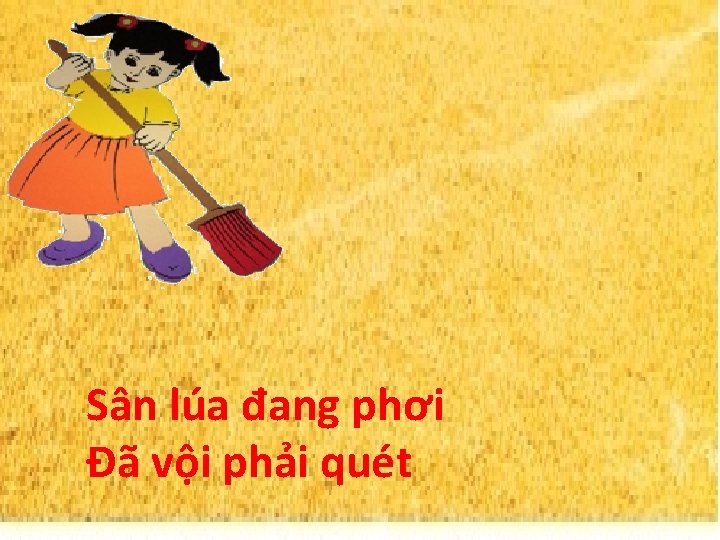 Sân lúa đang phơi Đã vội phải quét 