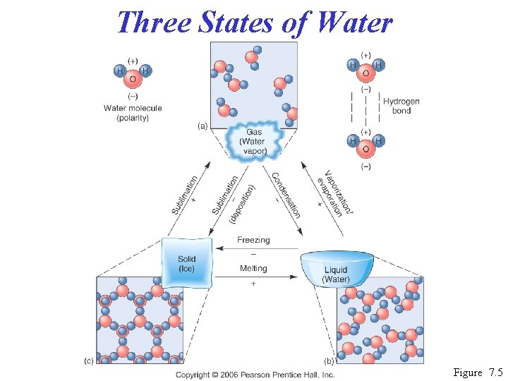 Three States of Water Figure 7. 5 