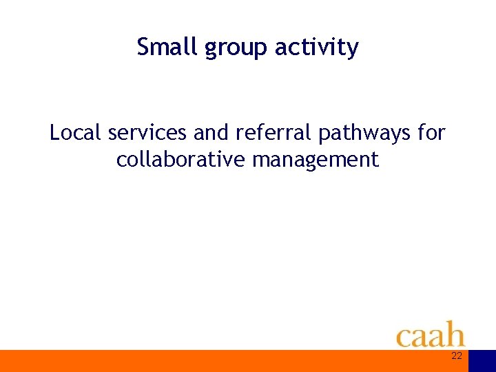 Small group activity Local services and referral pathways for collaborative management 22 