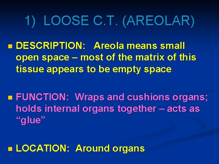1) LOOSE C. T. (AREOLAR) n DESCRIPTION: Areola means small open space – most