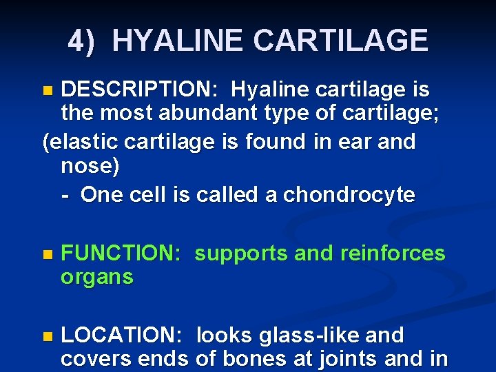 4) HYALINE CARTILAGE DESCRIPTION: Hyaline cartilage is the most abundant type of cartilage; (elastic
