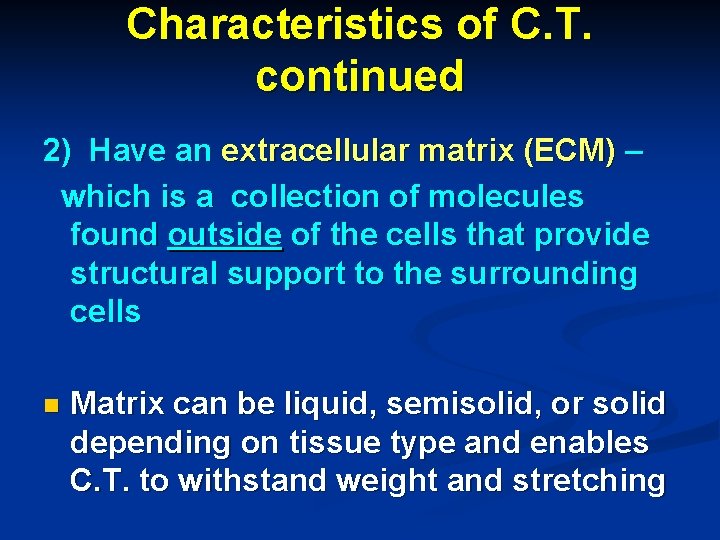 Characteristics of C. T. continued 2) Have an extracellular matrix (ECM) – which is