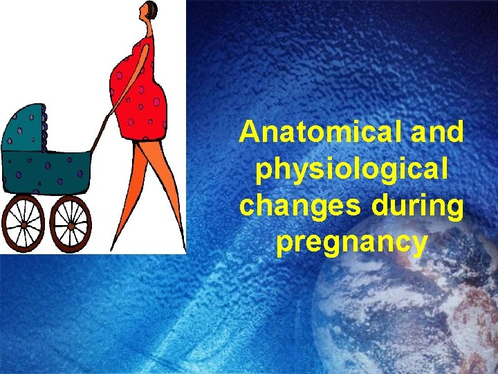 Anatomical and physiological changes during pregnancy 