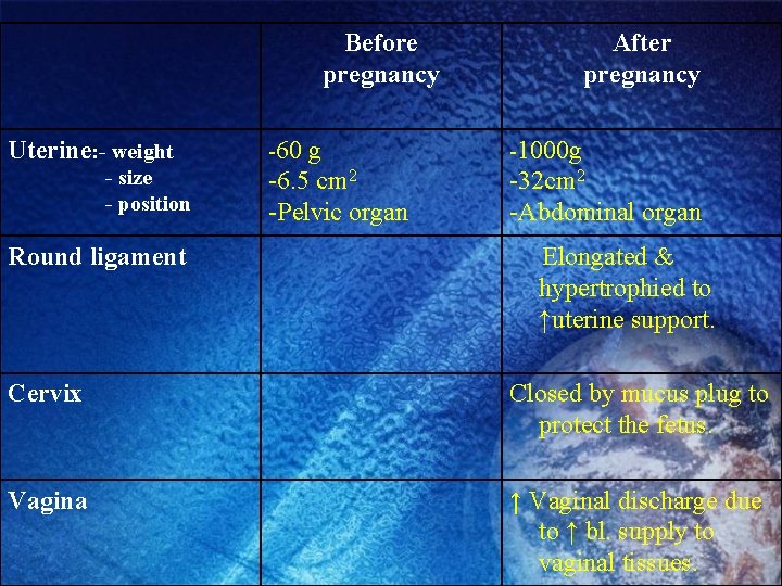 Before pregnancy Uterine: - weight - size - position Round ligament -60 g -6.
