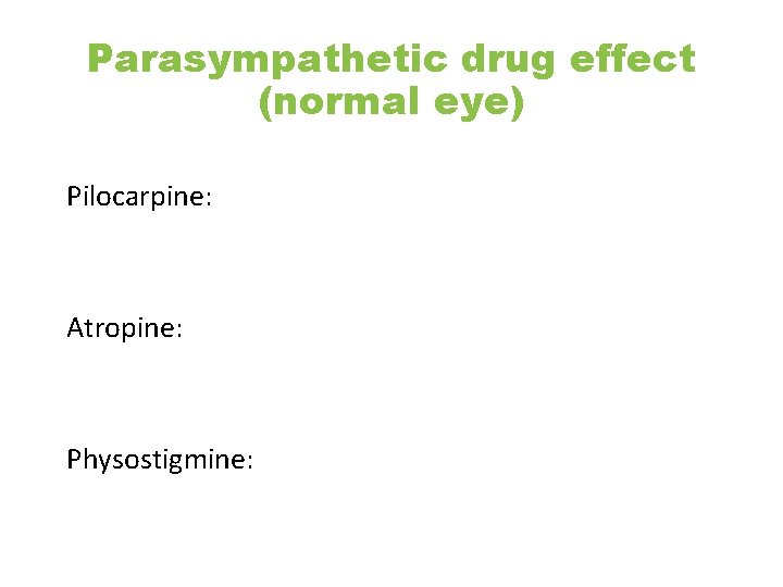 Parasympathetic drug effect (normal eye) Pilocarpine: Atropine: Physostigmine: 