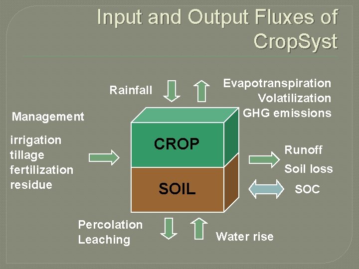 Input and Output Fluxes of Crop. Syst Evapotranspiration Volatilization GHG emissions Rainfall Management irrigation